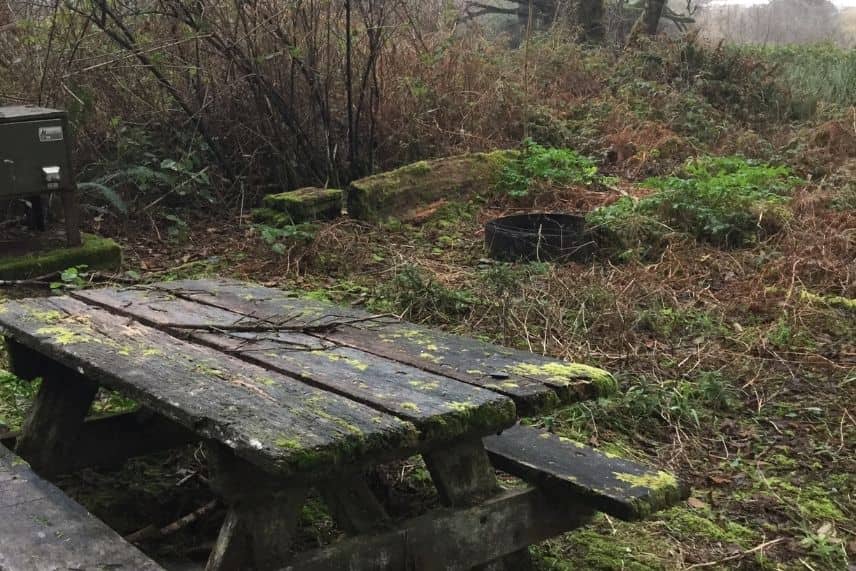 jardin voisin non entretenu