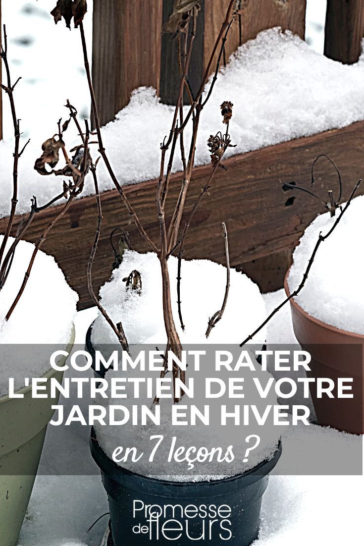 mal entretenir son jardin en hiver