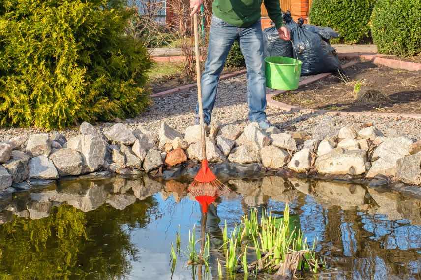 nettoyer le bassin en automne