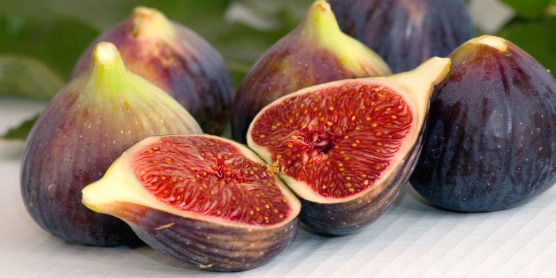 Récolter et conserver les Figues