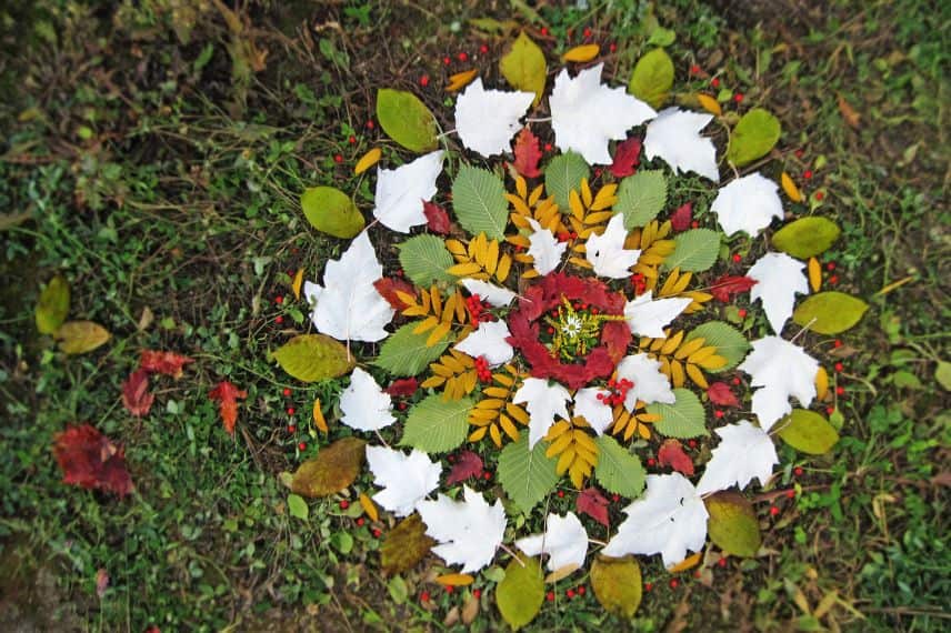 land art feuilles automne