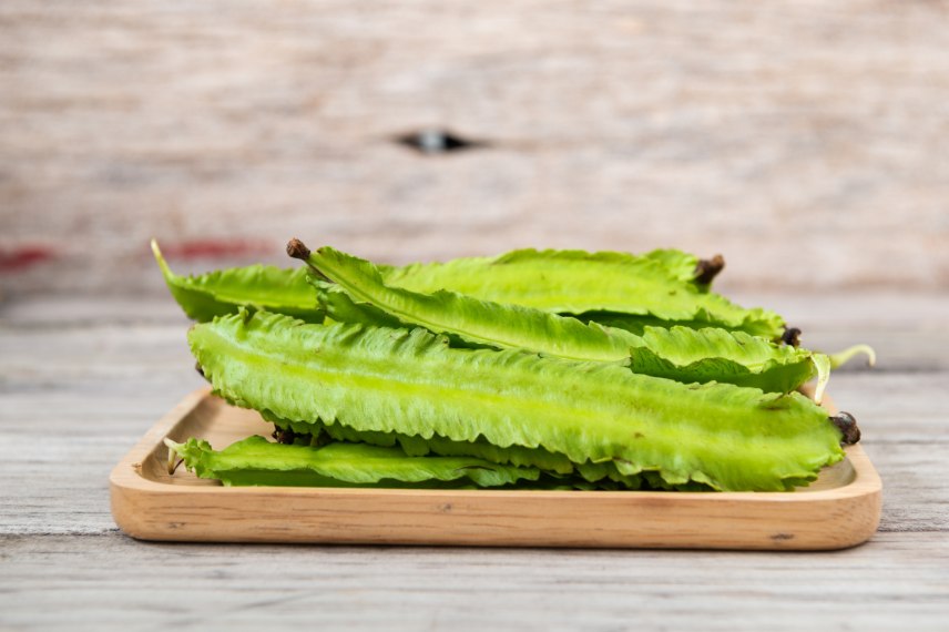 pois asperge récolte