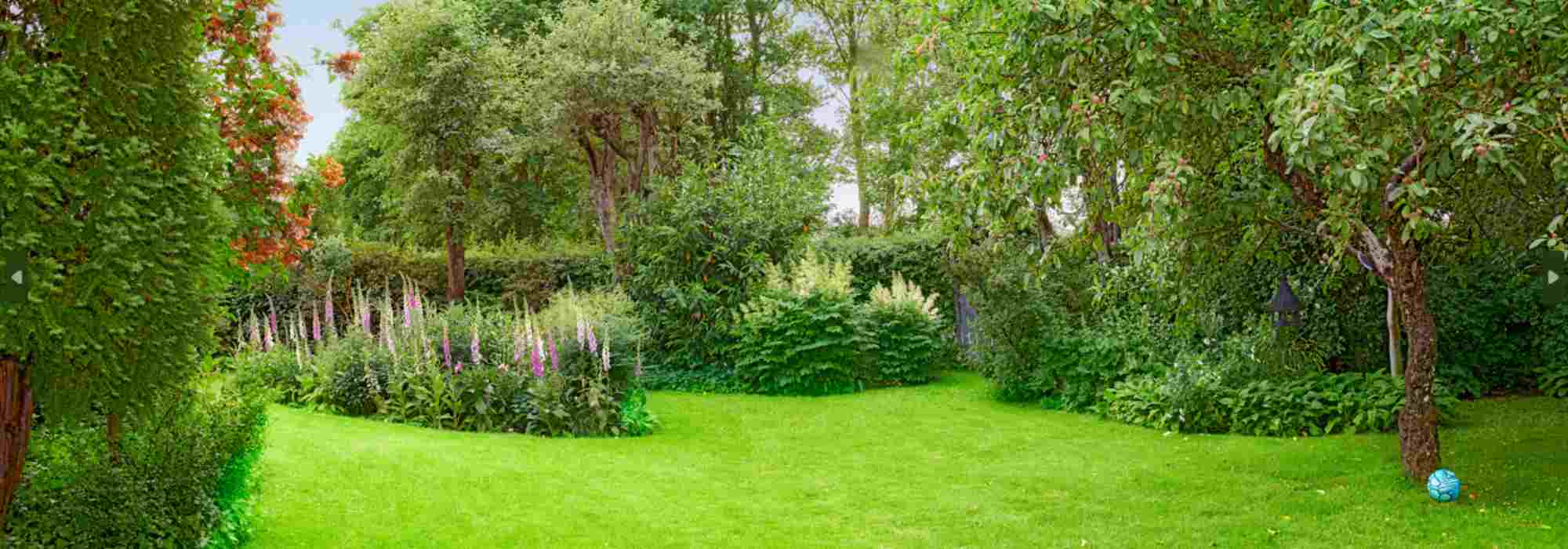 Comment bien placer les arbres dans un jardin ?