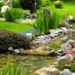 Entretenir un bassin de jardin au printemps