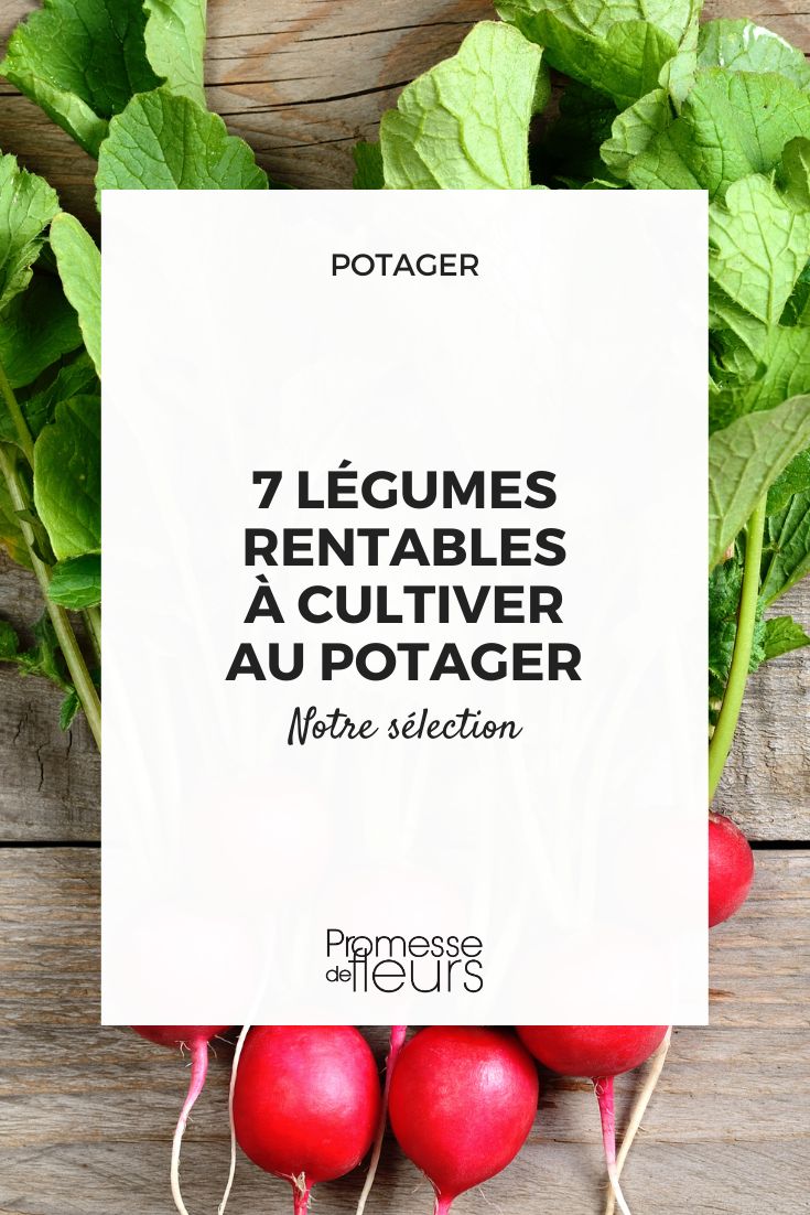 des légumes productifs