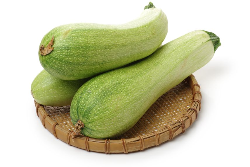 meilleures variétés de courgettes