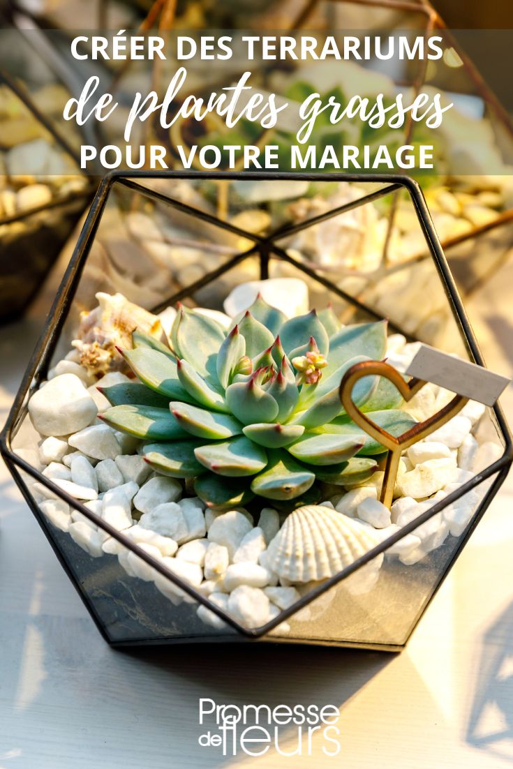 DIY des mini terrariums décoratifs