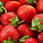 Fraisiers remontants : les valeurs sûres pour une récolte abondante