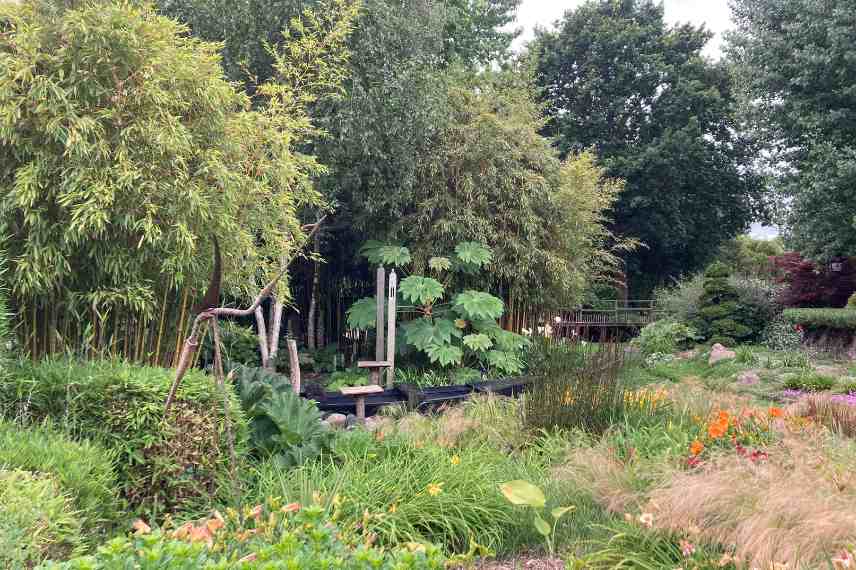 placer positionner arbre dans jardin conseil