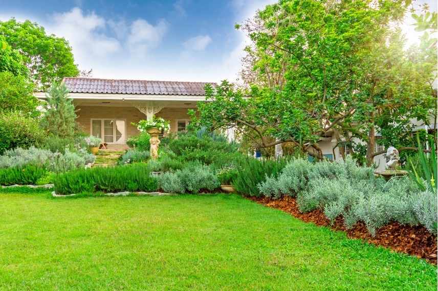 conseils jardin carre