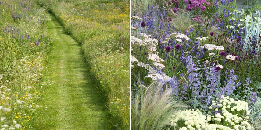 Prairie et massif fleuri pour un jardin beau en été