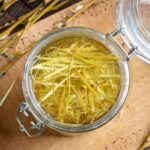 Comment faire ses propres hormones de bouturage naturelles ?