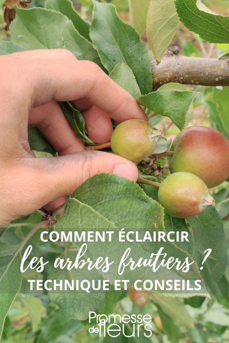 pourquoi supprimer certains fruits