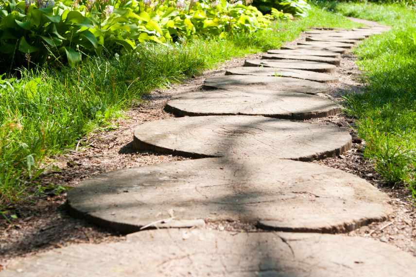 jardin par ou commencer travaux et plantations