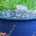 Eau du robinet, eau de pluie ou eau déminéralisée : laquelle choisir pour arroser les plantes ?