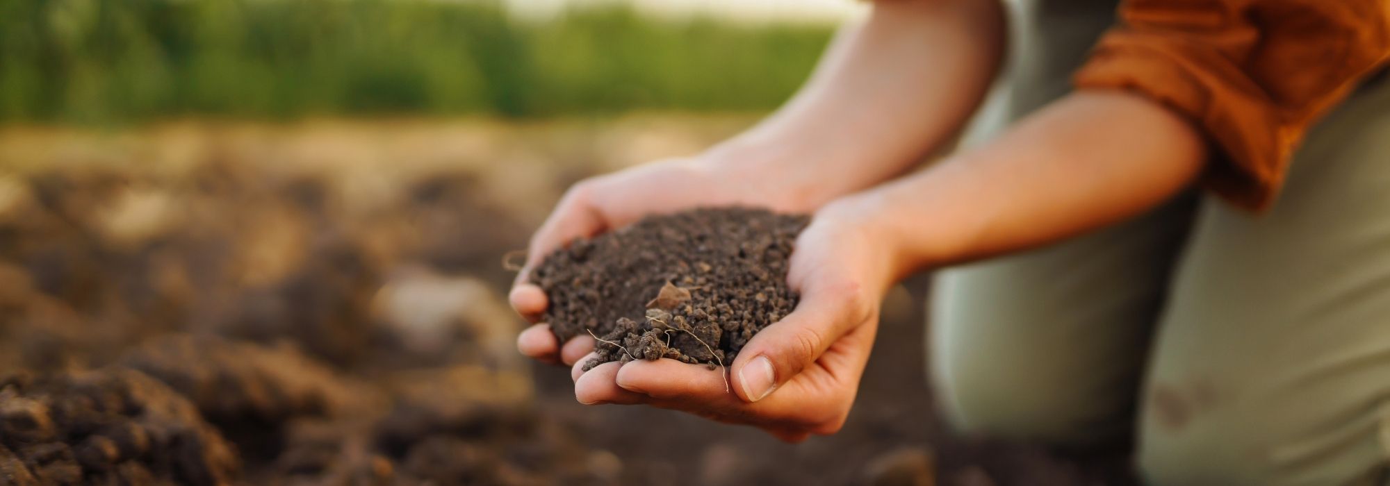 Nos solutions de fertilisation 100 % naturelles pour le jardin
