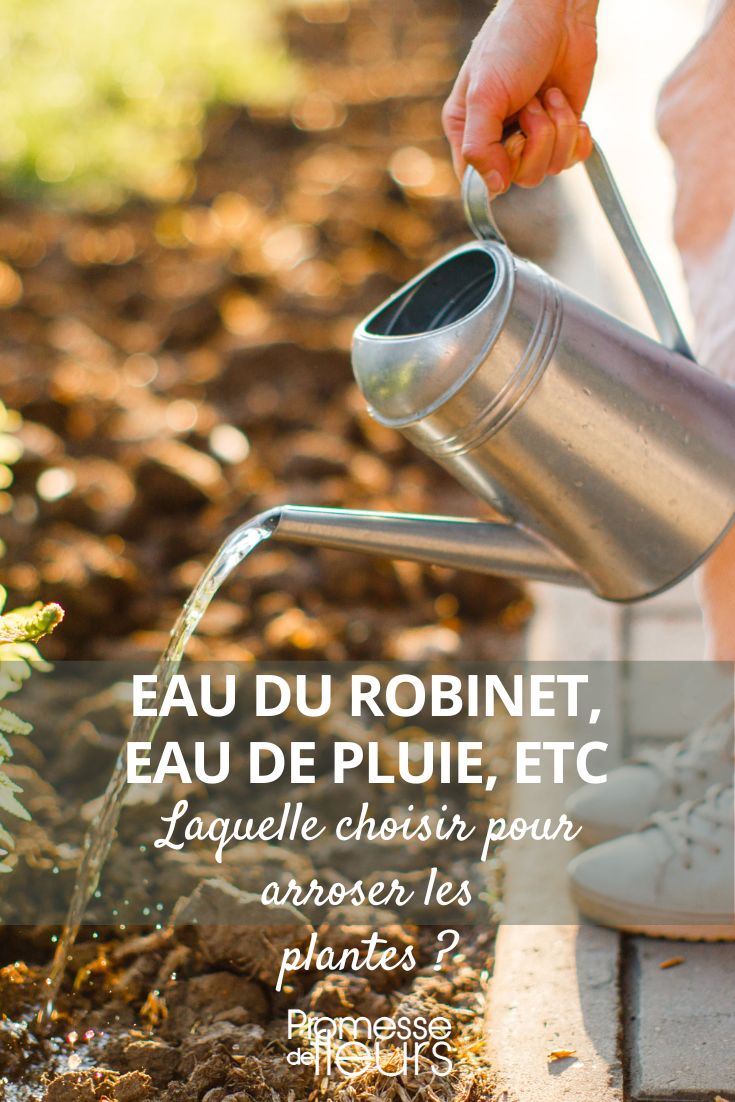 choisir l'eau d'arrosage