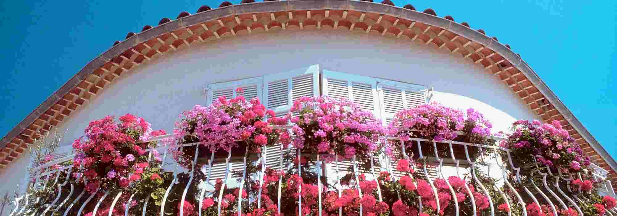 Les engrais pour jardinières et potées : quand et comment les utiliser ?