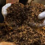 Comment savoir si mon compost est mûr ?