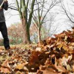 Entretien du jardin : les outils de ramassage et de nettoyage indispensables