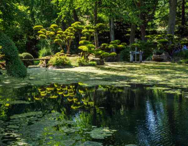 De l'intérêt de visiter des jardins