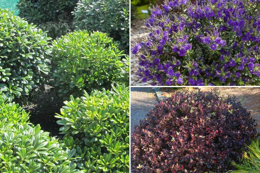 amenagement jardin contemporain idees