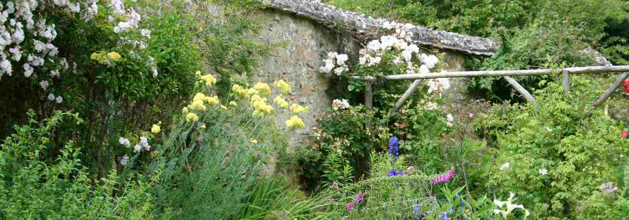 Que planter contre un mur exposé à l'ouest ?