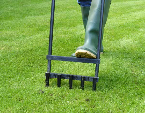 Comment aérer sa pelouse : pas à pas pour un gazon sain