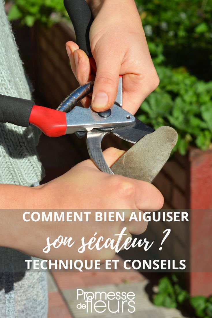 apprendre à nettoyer et à affuter un secateur