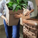 Comment déménager ses plantes sans faire de dégâts ?