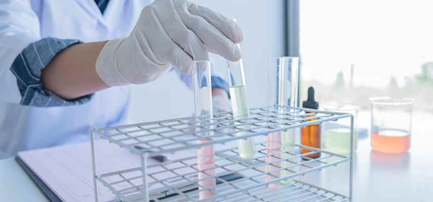 gemmotherapie y croire ou pas