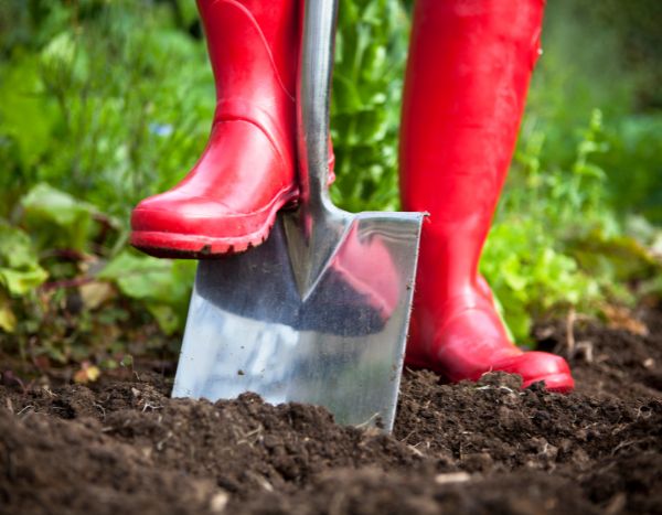 Jardinage débutant : le bêchage, qu’est-ce que c’est ? Comment faire ?