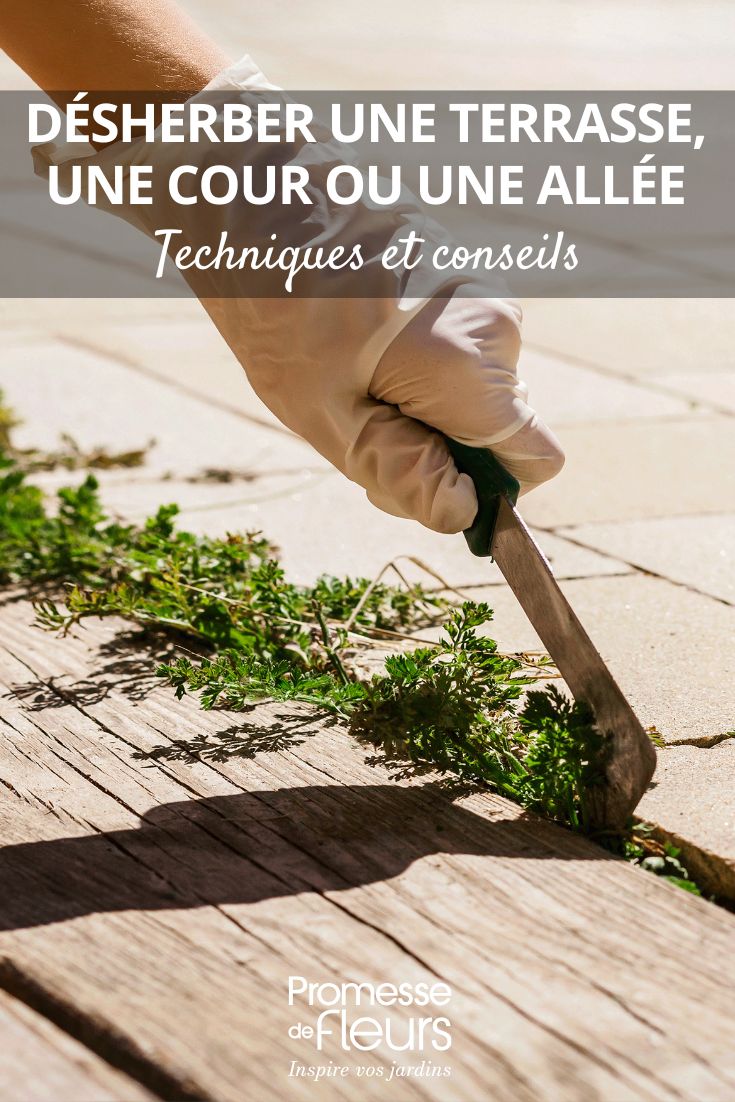 arracher l'herbe des allées , terrasses et pavages