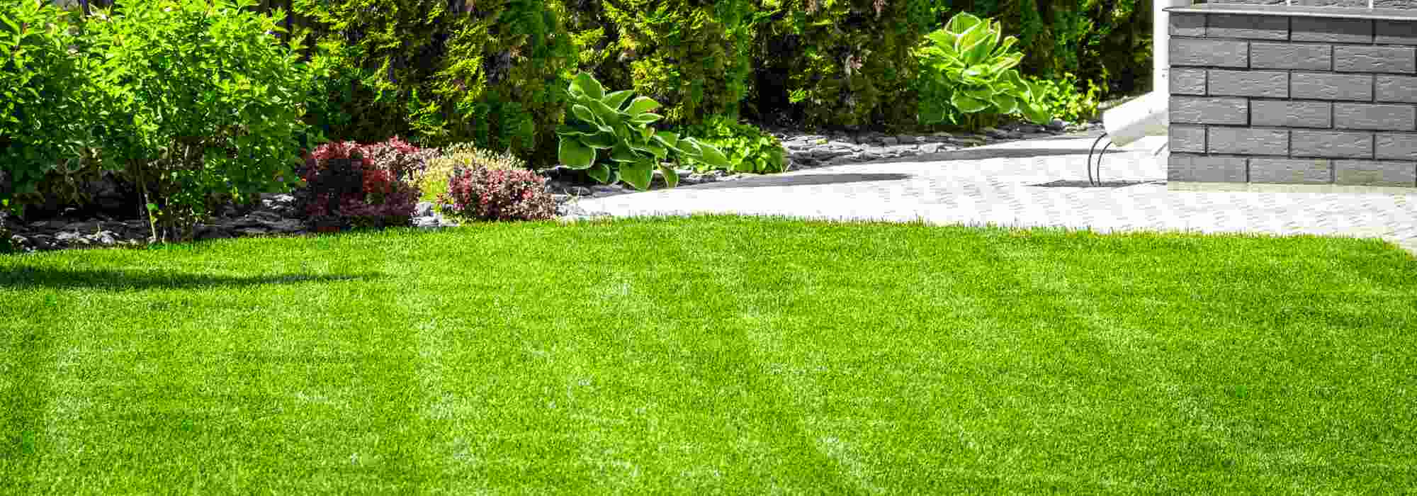 Comment entretenir son gazon au printemps ?