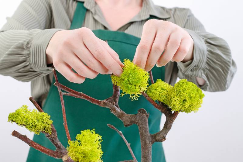 Ajoutez de la mousse sur les branches