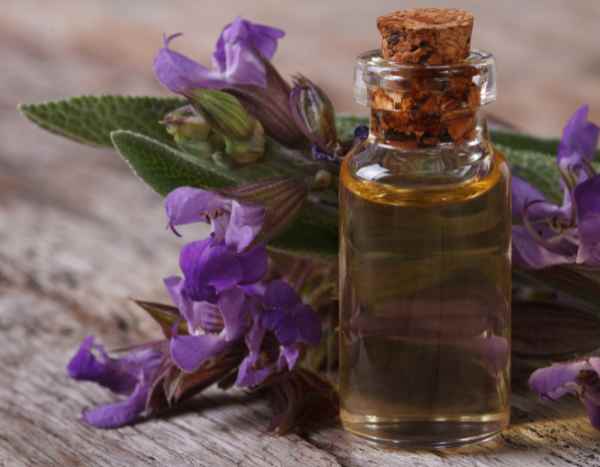 Comment faire de l'huile de sauge maison : notre tutoriel