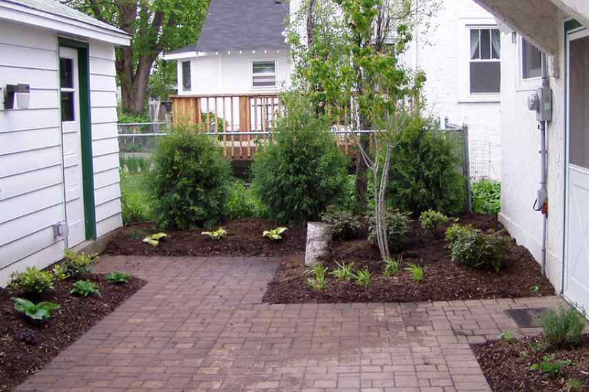 contraintes defaut patio plantes