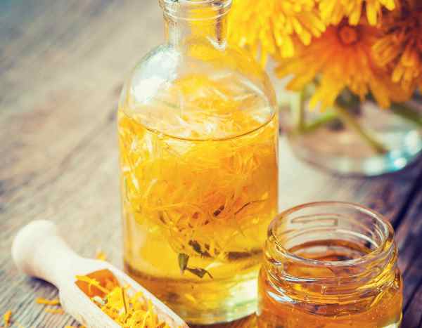 Comment faire de l'huile de pissenlit maison ? : notre tutoriel