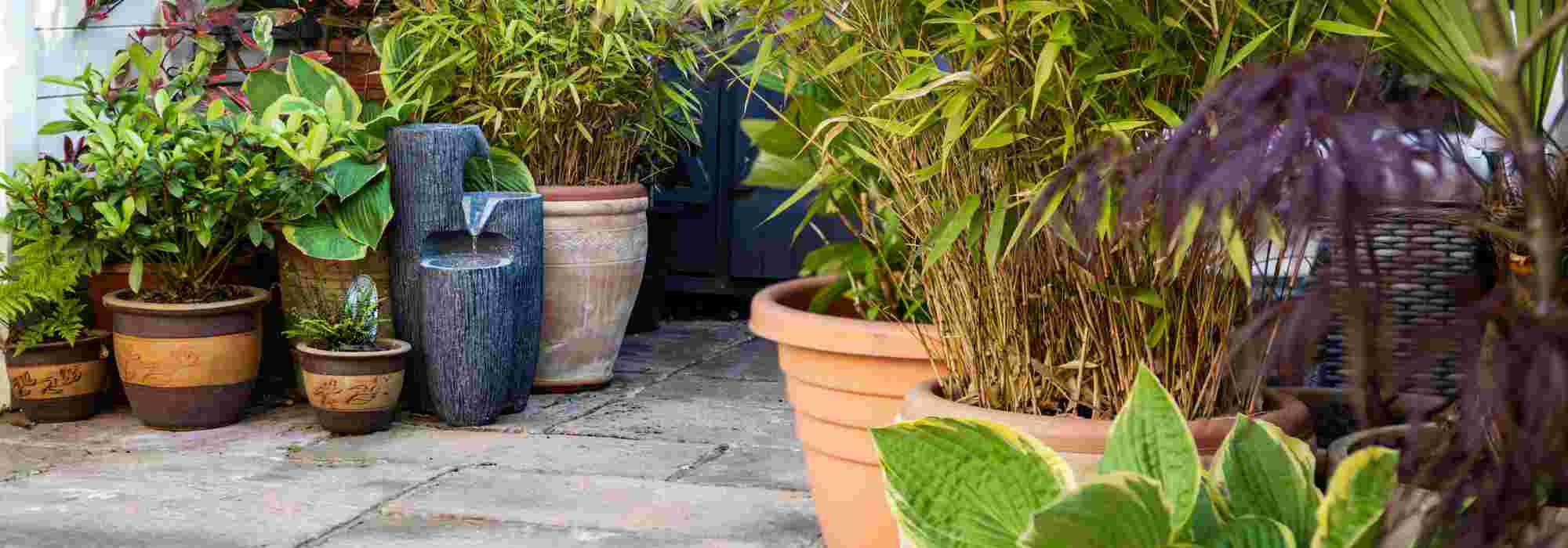 Quels végétaux choisir pour aménager une cour intérieure ?