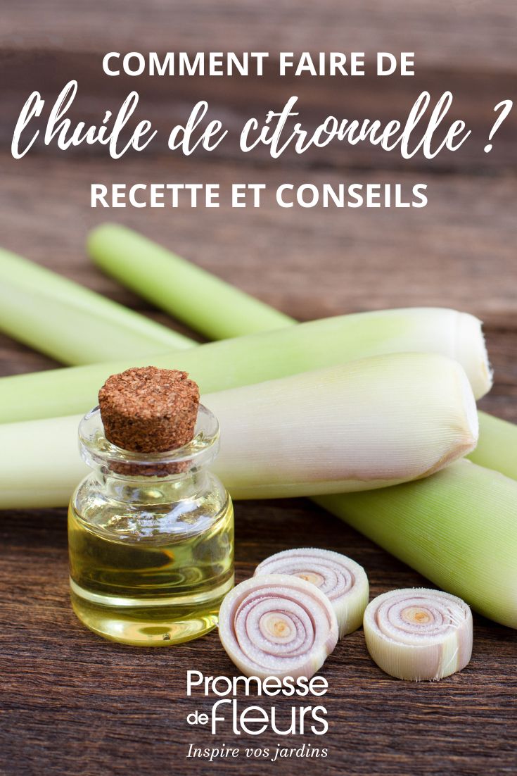 recette de l'huile de citronnelle