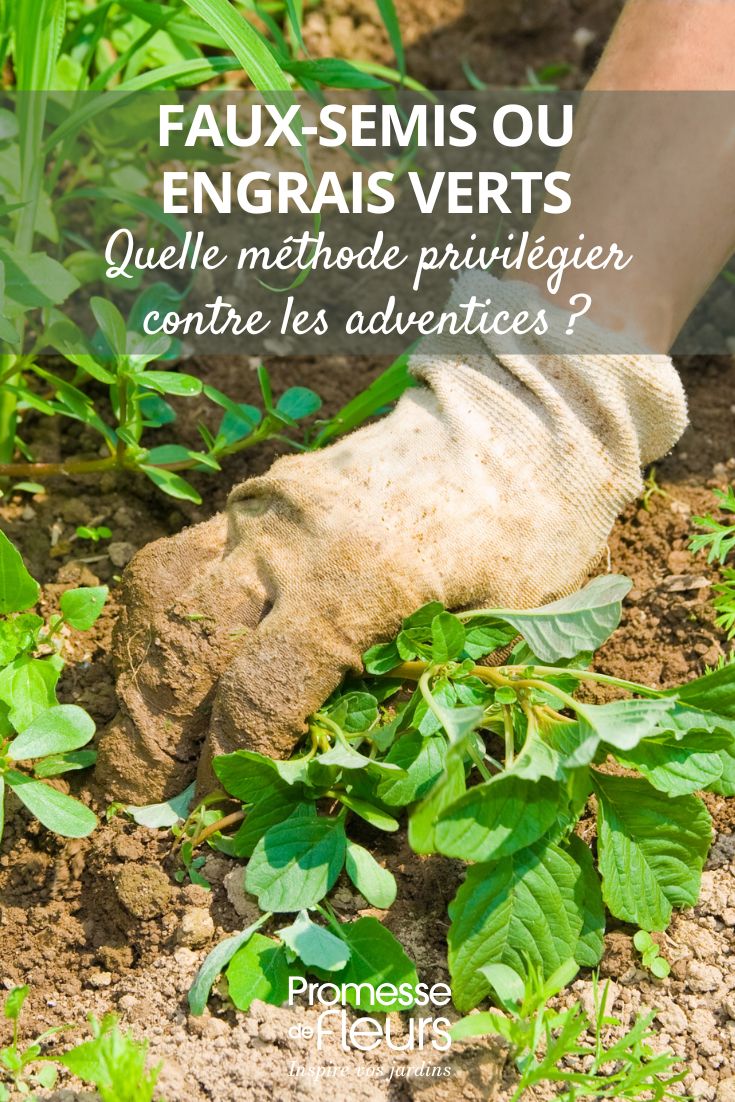 lutte contre les mauvaises herbes