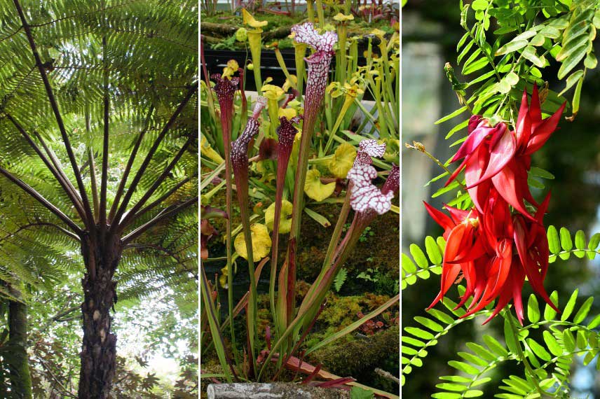 Tendance jardin 2025 - Ambiance Eden Fantasmé