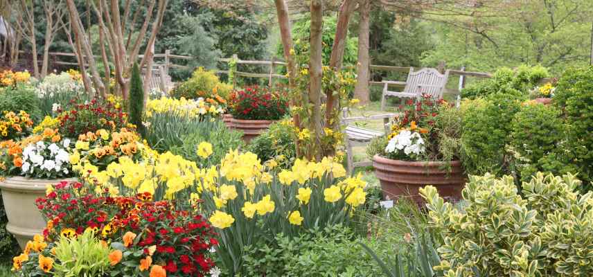 renover friche jardin abandon