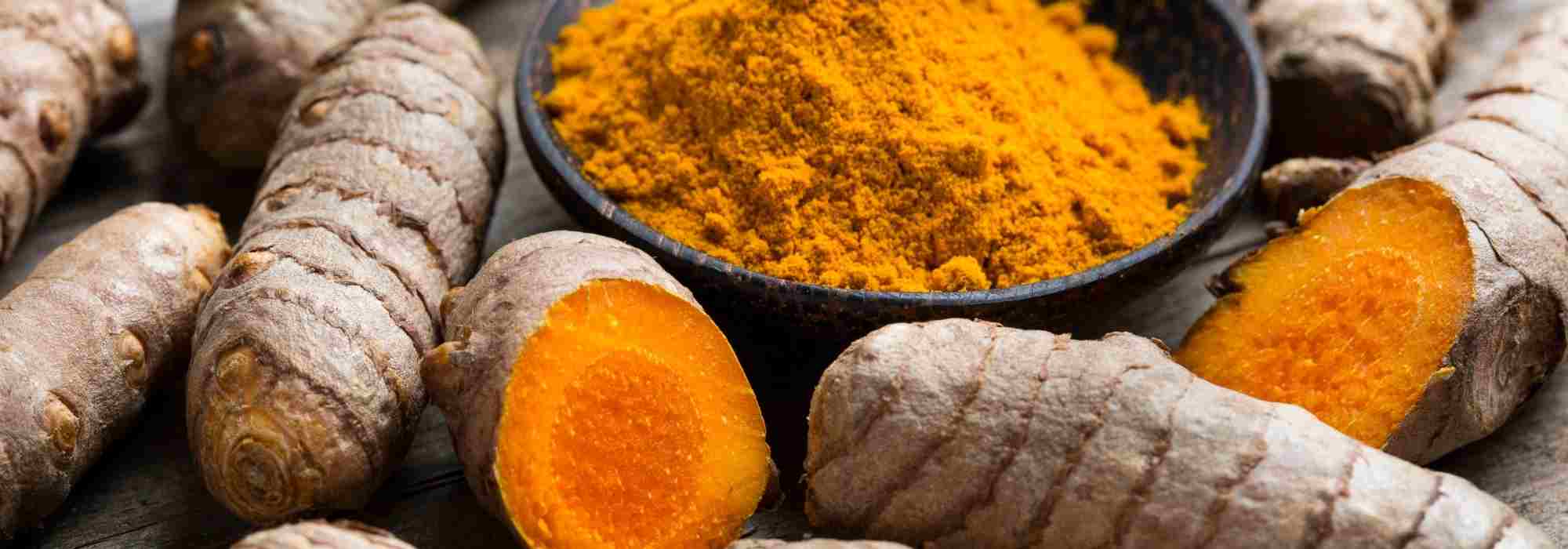 Cultiver le curcuma pour ses bienfaits sur la santé