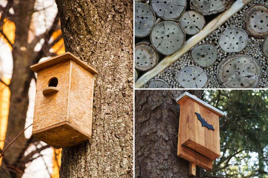Un nichoir à oiseaux, un hôtel à insectes et un abri à chauve-souris
