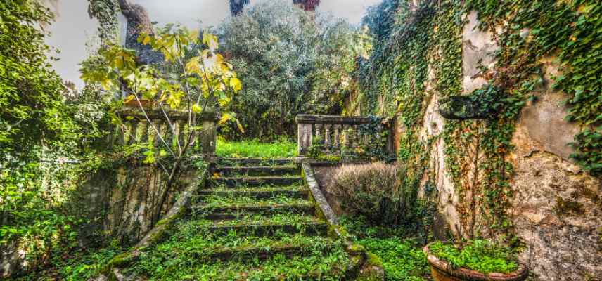 comment amenager vieux jardin en friche