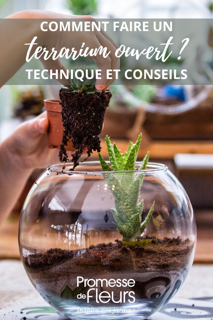 Tutoriel pour faire un terrarium