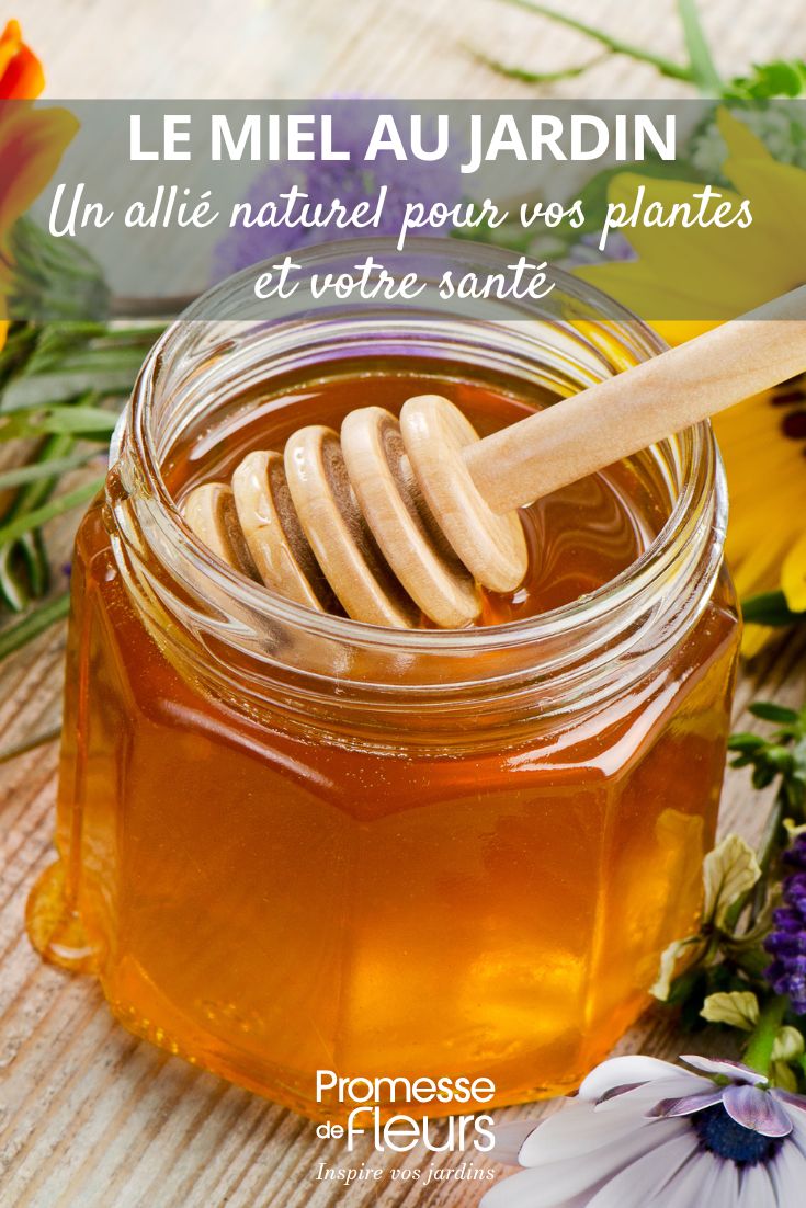 l'utilisation du miel au jardin