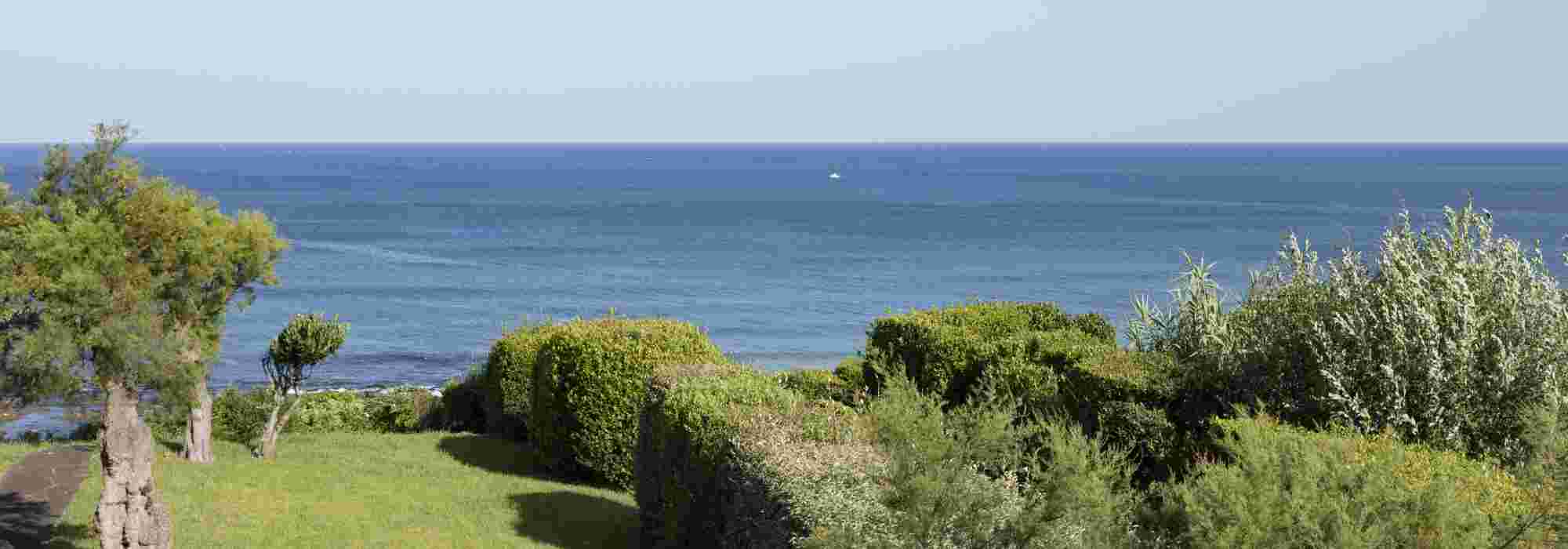 Les meilleurs arbustes pour climat océanique et de bord de mer