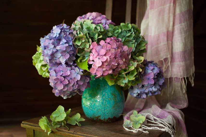 hortensia pour composition bouquet
